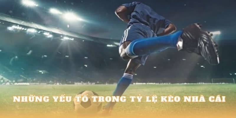 Giới thiệu Cam kết nội dung giới thiệu minh bạch