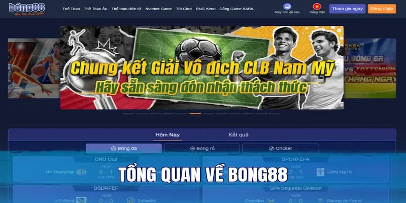 Chiến thuật cược thông minh tại Bong88