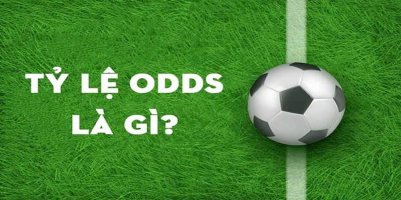 odds trong bóng đá là gì